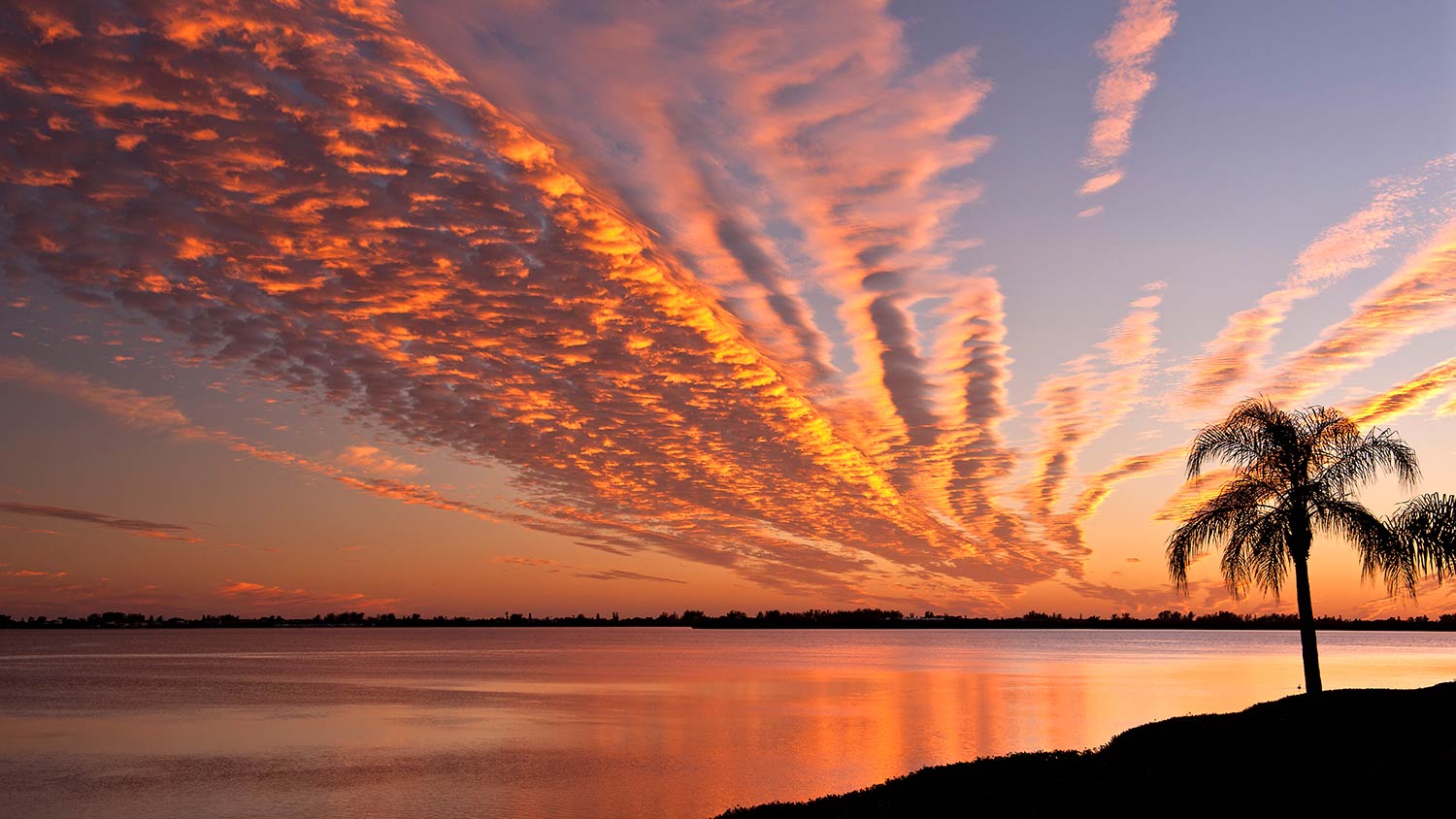 sunset over Sarasota Bay